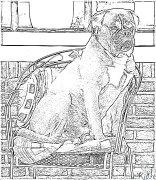 boxer Coloring Pages To Print